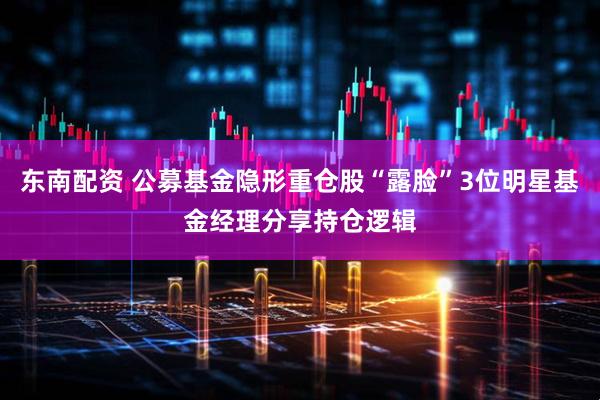 东南配资 公募基金隐形重仓股“露脸”3位明星基金经理分享持仓逻辑