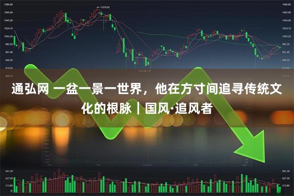 通弘网 一盆一景一世界，他在方寸间追寻传统文化的根脉｜国风·追风者