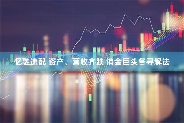 忆融速配 资产、营收齐跌 消金巨头各寻解法